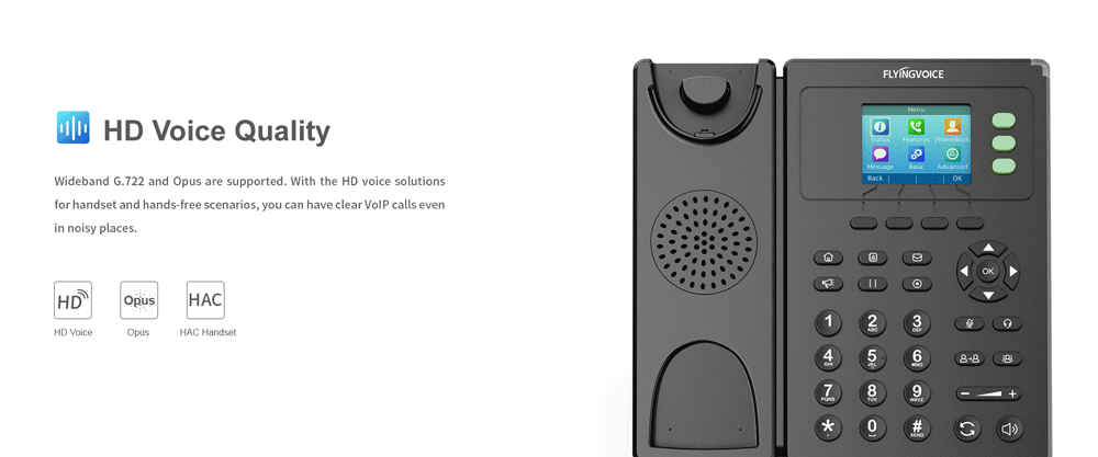 Flyingvoice FIP11