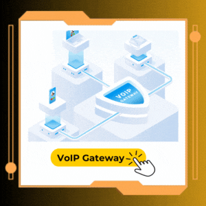 VoIP Gateway